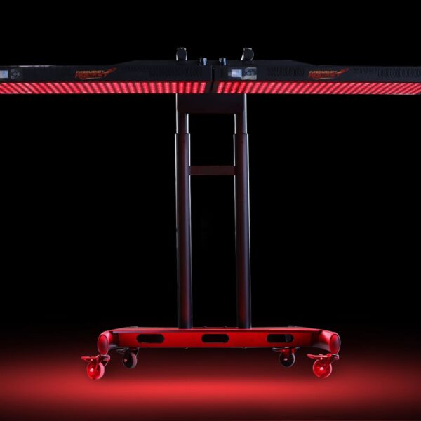 Biophotonic Therapy Duel Panel System